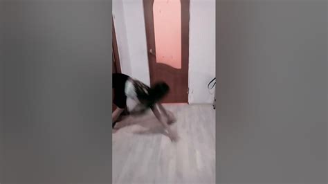 Забавный и модно сексуальны.